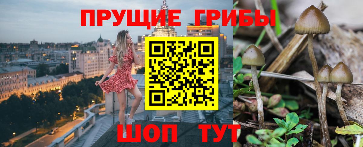 Вичуга  Галлюциногенные грибы GOLDEN TEACHER  Вход с VPN  Галлюциногенные грибы прущие грибы 